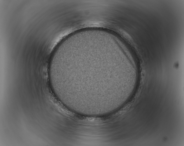 X0000116481218201001061113