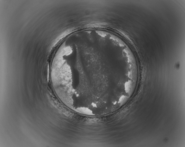 X0000116481219201001061113