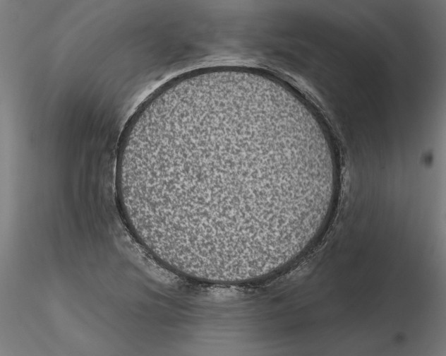 X0000116481220201001061113