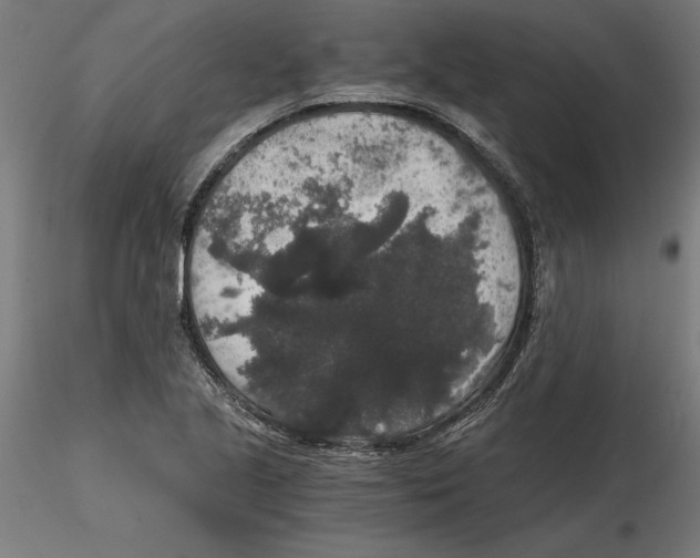 X0000116481221201001061113