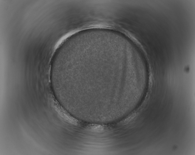 X0000116481222201001061113