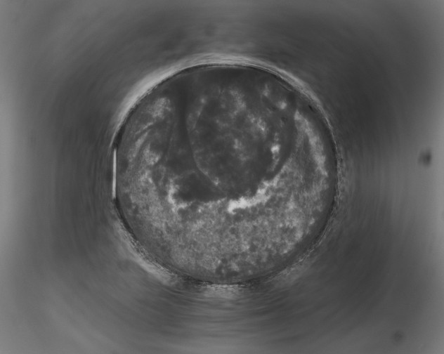 X0000116481223201001061113