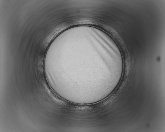 X0000116481225201001061113