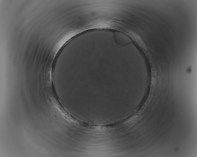 X0000116481226201001061113