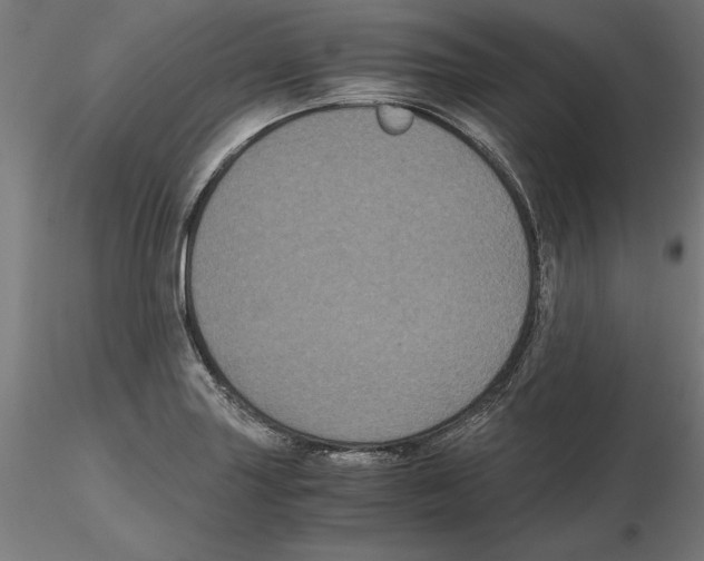 X0000116481227201001061113