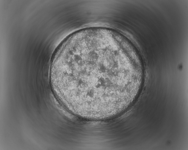 X0000116481228201001061113