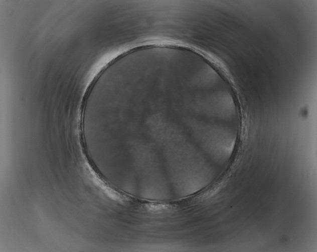 X0000116481231201001061113