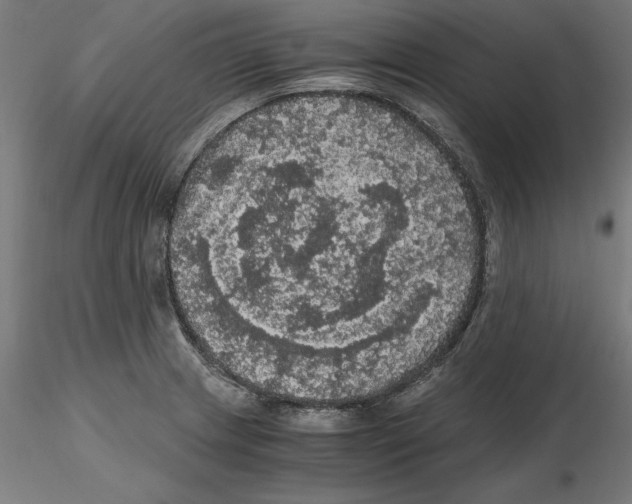 X0000116481233201001061113