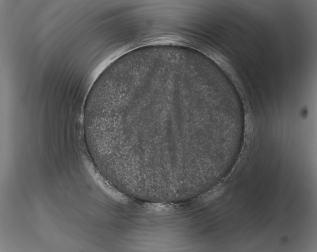 X0000116481234201001061113