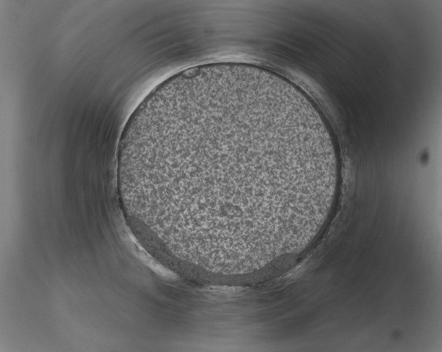 X0000116481236201001061113