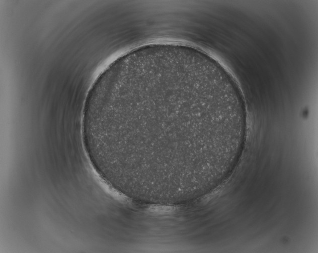 X0000116481237201001061113