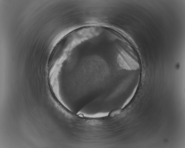 X0000116481239201001061113