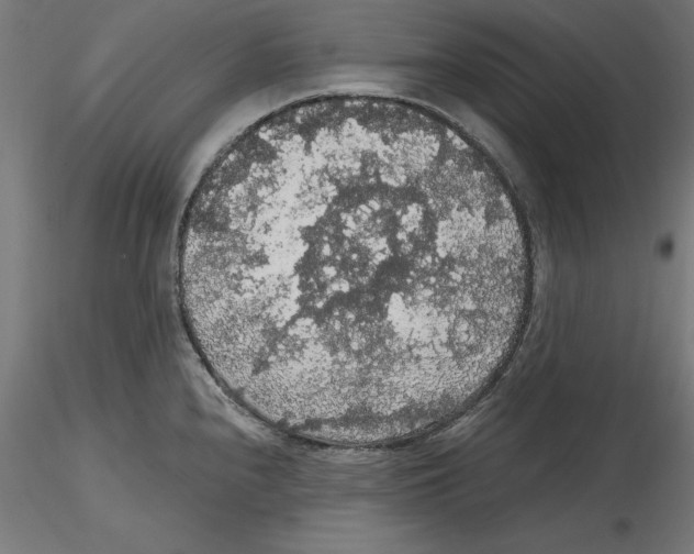 X0000116481240201001061113