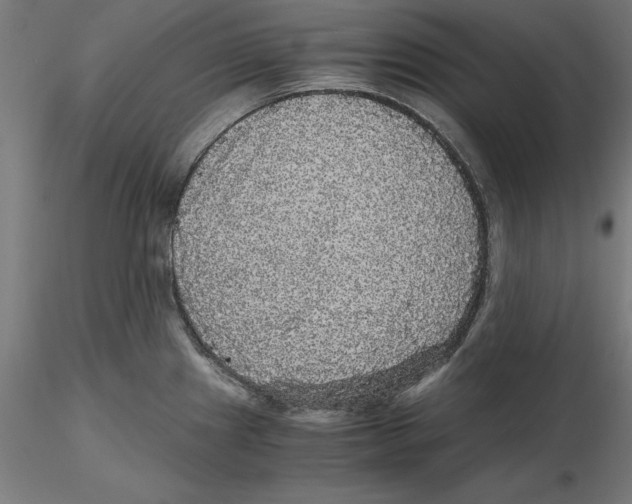 X0000116481241201001061113