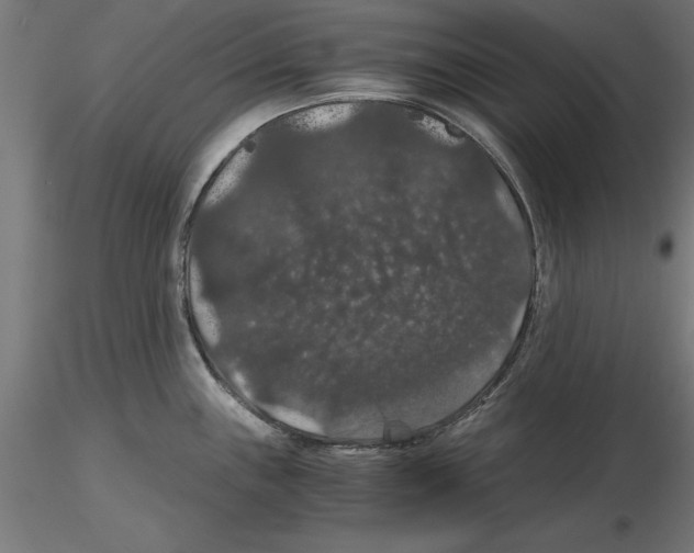 X0000116481243201001061113