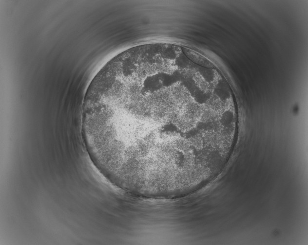 X0000116481244201001061113