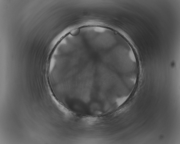 X0000116481245201001061113