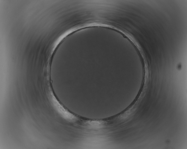 X0000116481246201001061113