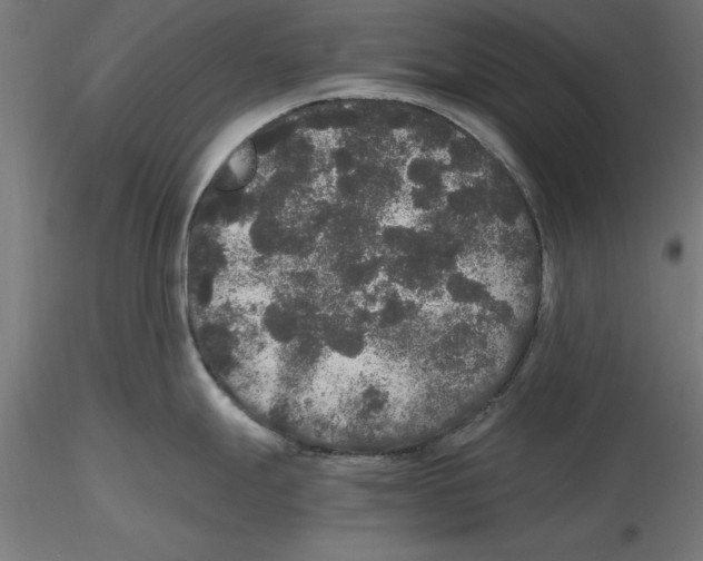 X0000116481247201001061113