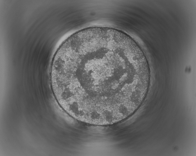 X0000116481248201001061113