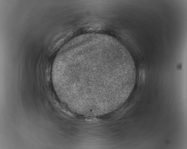 X0000116481250201001061113