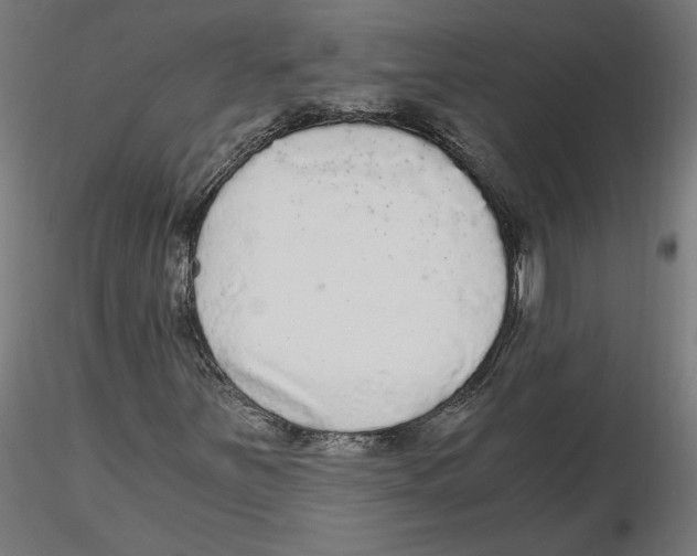 X0000116481251201001061113