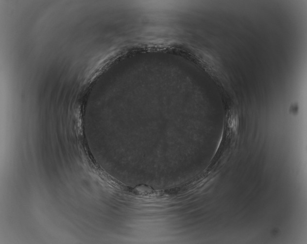 X0000116481252201001061113