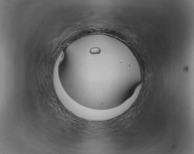 X0000116481253201001061113