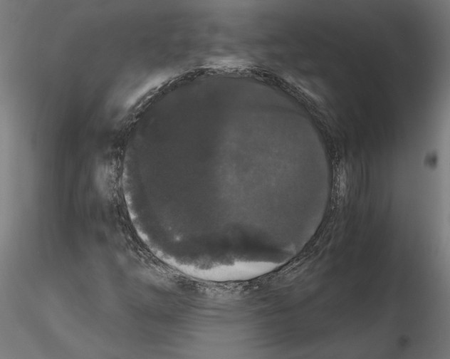 X0000116481254201001061113