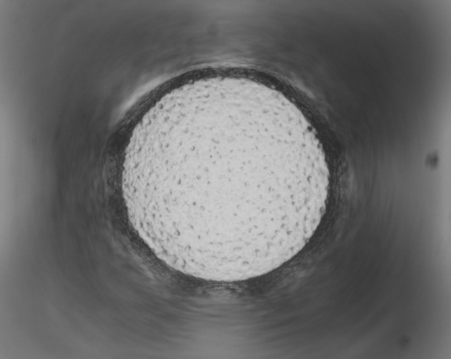 X0000116481255201001061113