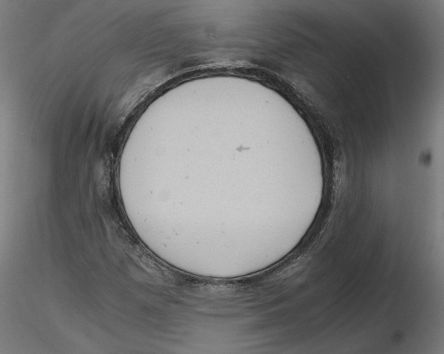 X0000116481257201001061113