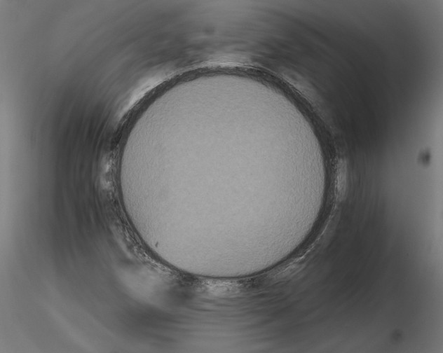 X0000116481258201001061113