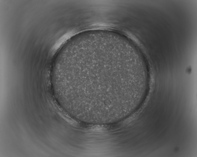 X0000116481259201001061113