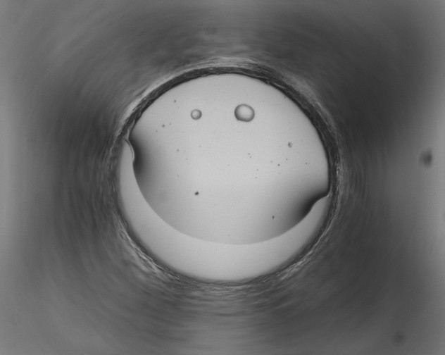 X0000116481260201001061113