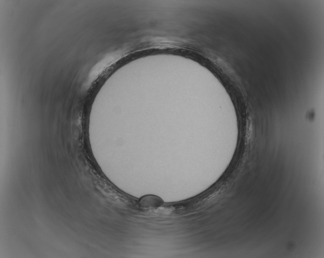 X0000116481261201001061113