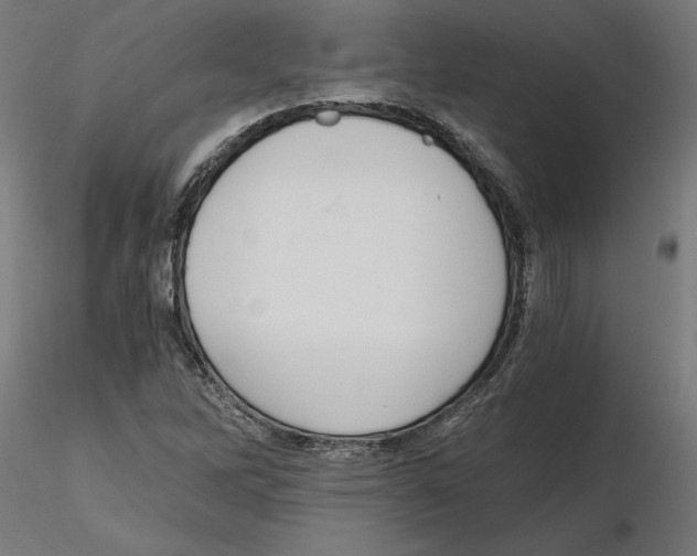 X0000116481262201001061112