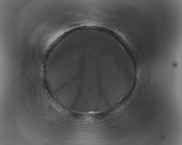 X0000116481263201001061112