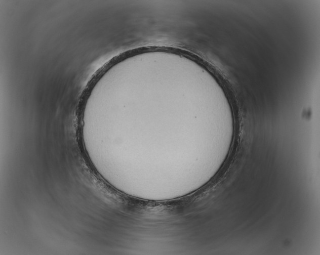 X0000116481264201001061112