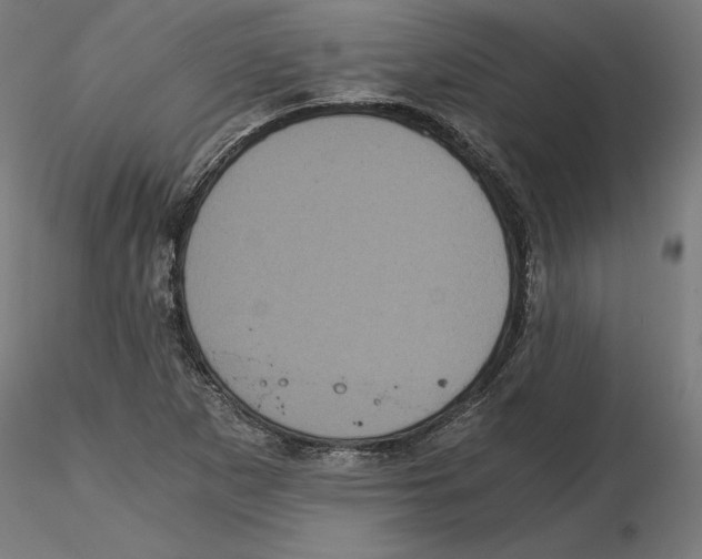 X0000116481265201001061112