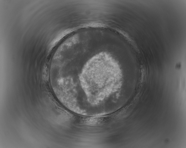 X0000116481266201001061112