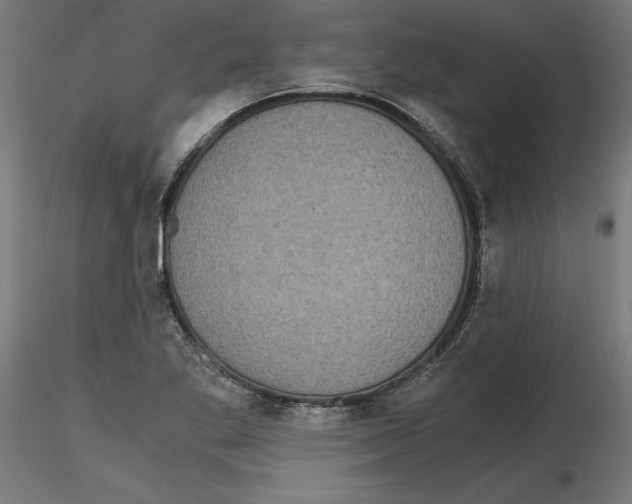 X0000116481269201001061112