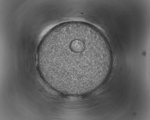 X0000116481271201001061112