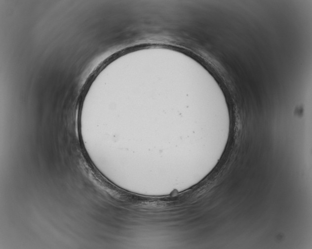 X0000116481272201001061112