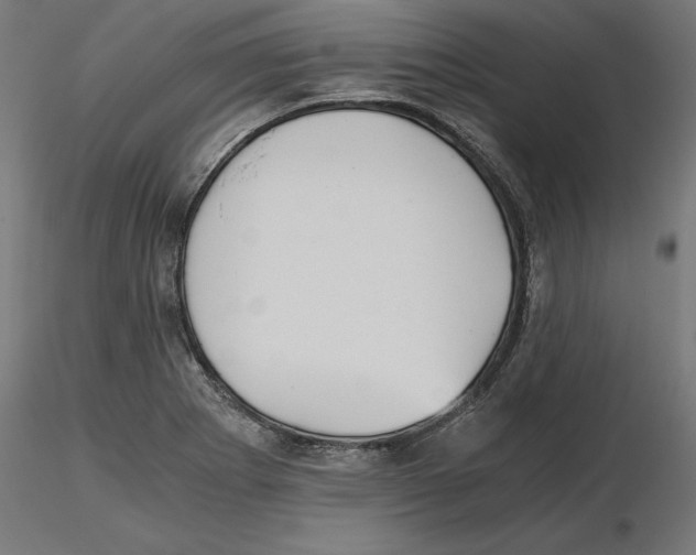 X0000116481273201001061112