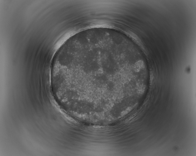 X0000116481274201001061112