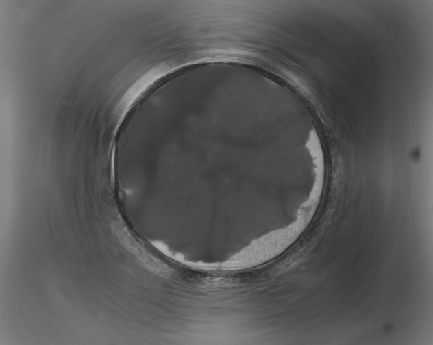 X0000116481275201001061112