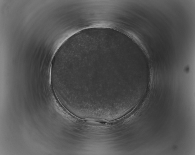 X0000116481276201001061112