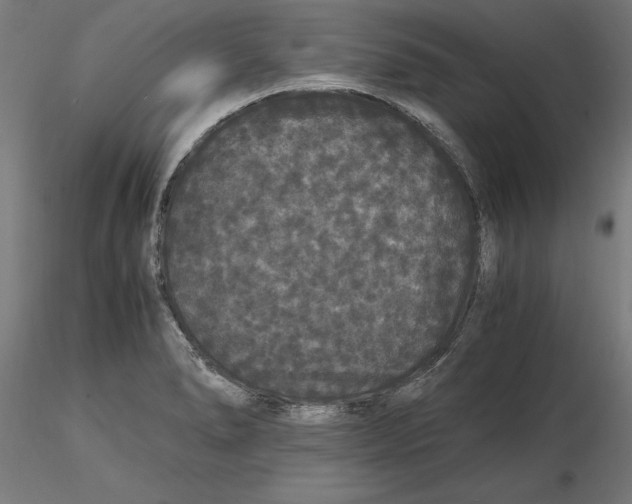 X0000116481278201001061112