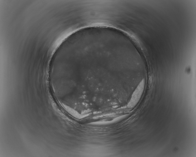 X0000116481279201001061112