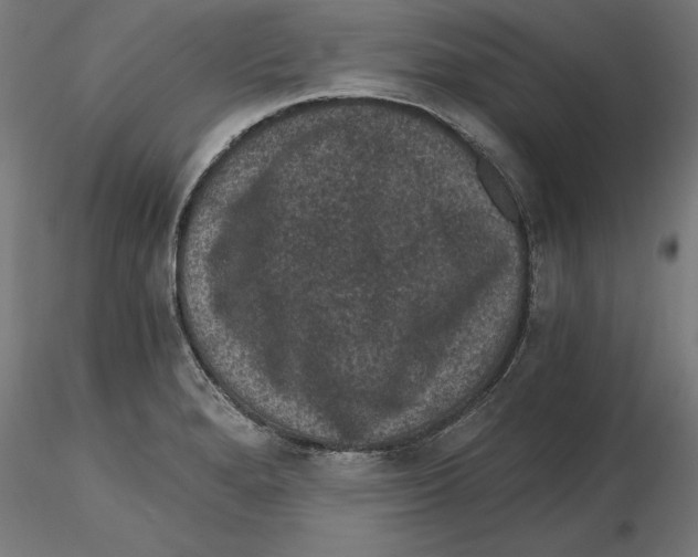 X0000116481280201001061112